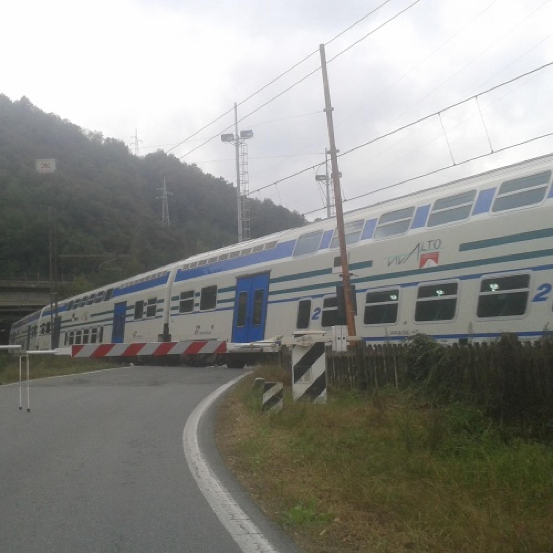 Treni e rincari: nervi tesi tra assessore e Comitato