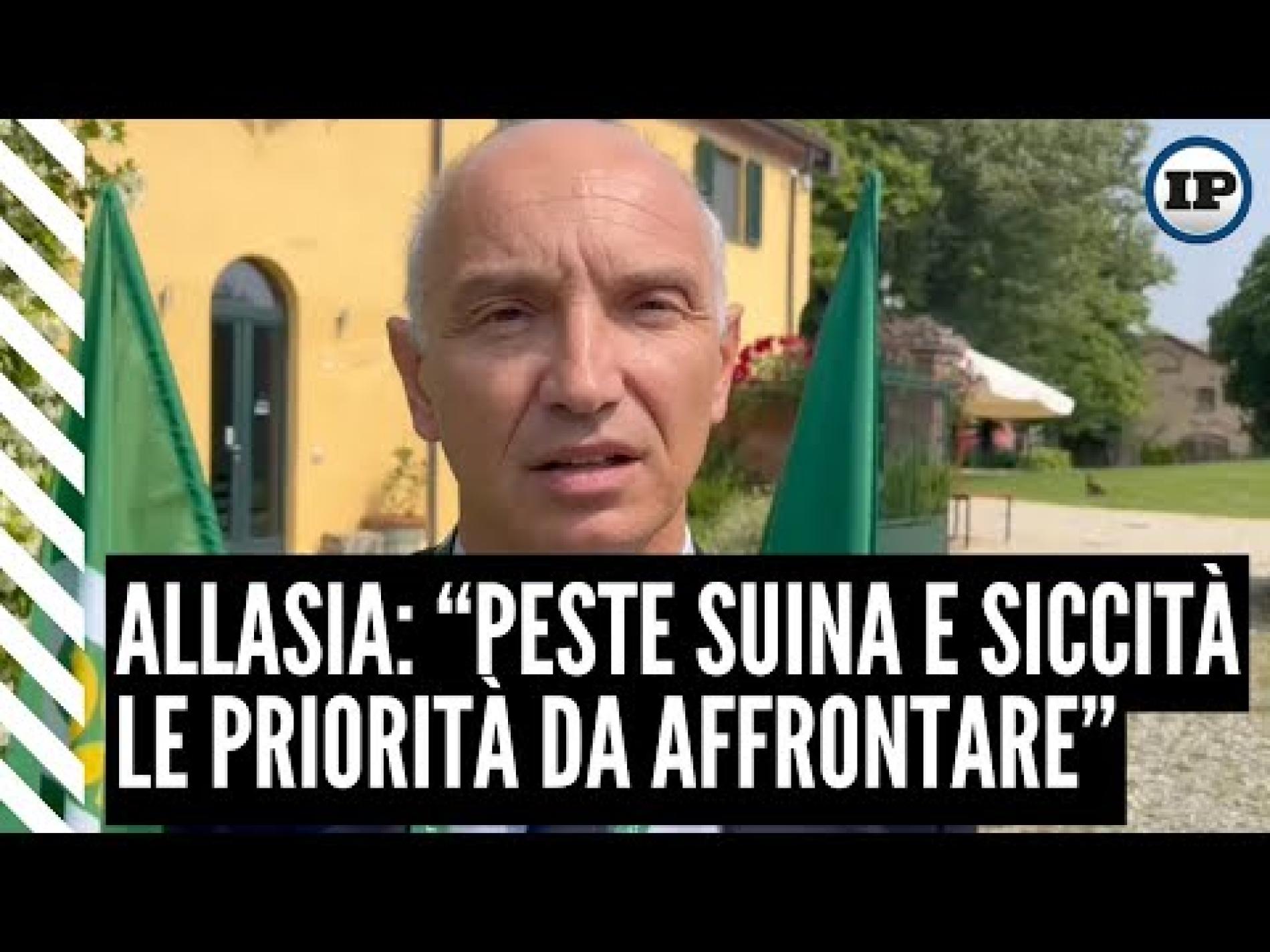 “Peste suina, accelerare sui piani di abbattimento dei cinghiali”