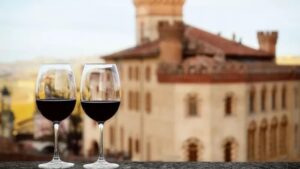 I dieci migliori vini del Piemonte da provare almeno una volta nella vita