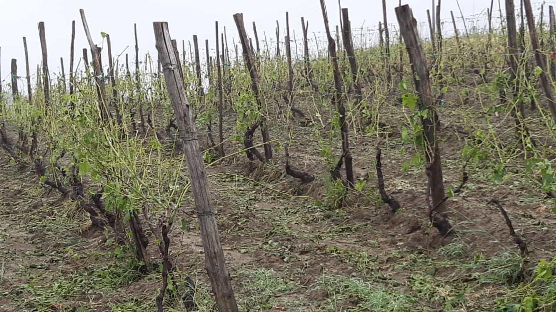 Siccità, è allarme anche in provincia