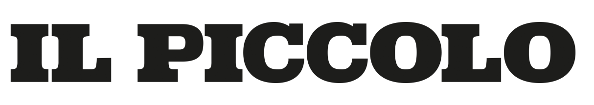 Site Logo in Footer