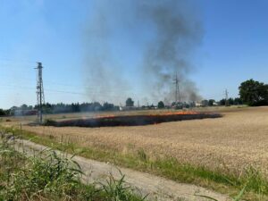 Rogo verso Valmadonna, colture in fiamme