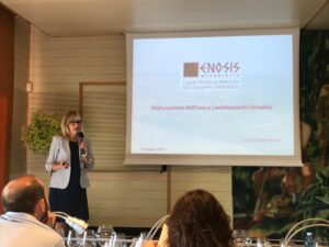 Enosis: il clima, l’uva, il vino e i rimedi