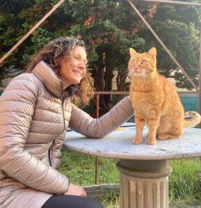 Regione: Anagrafe felina, via al bando per i fondi