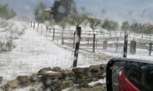 Regione Piemonte: richiesta stato d’emergenza per la grandine