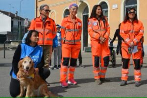Ambulanza veterinaria, oltre 150 interventi effettuati