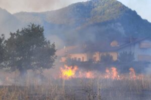 Vignole, incendio di vegetazione nell’area residenziale