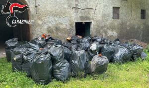 Le tracce nei sacchi neri incastrano la ditta per abbandono di rifiuti