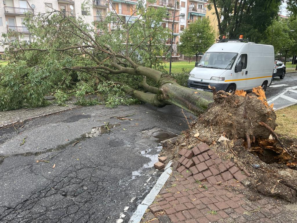 Lungo Po di Casale, iniziati i lavori di ripristino dell’area