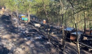 Incendio a Castelletto d’Erro, capannone in fiamme tra Strevi e Acqui