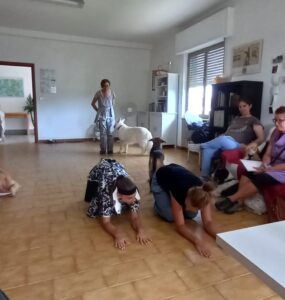Il “Teatro bestiale-6 zampe all’opera” arriverà ad Alessandria