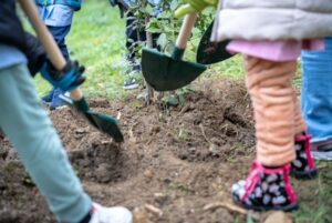 Corsi pratici di giardinaggio (ma anche da remoto)
