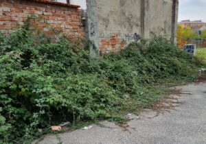 Alessandria, via Umberto Giordano: ancora lamentele