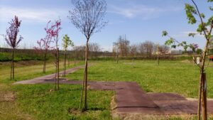 Alessandria: “Passeggiata dei due ponti”, al Bosco del Sole una mattinata per l’autismo