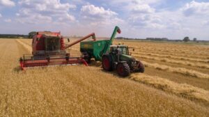 Sviluppo rurale, bando regionale da 2 milioni e 250mila euro