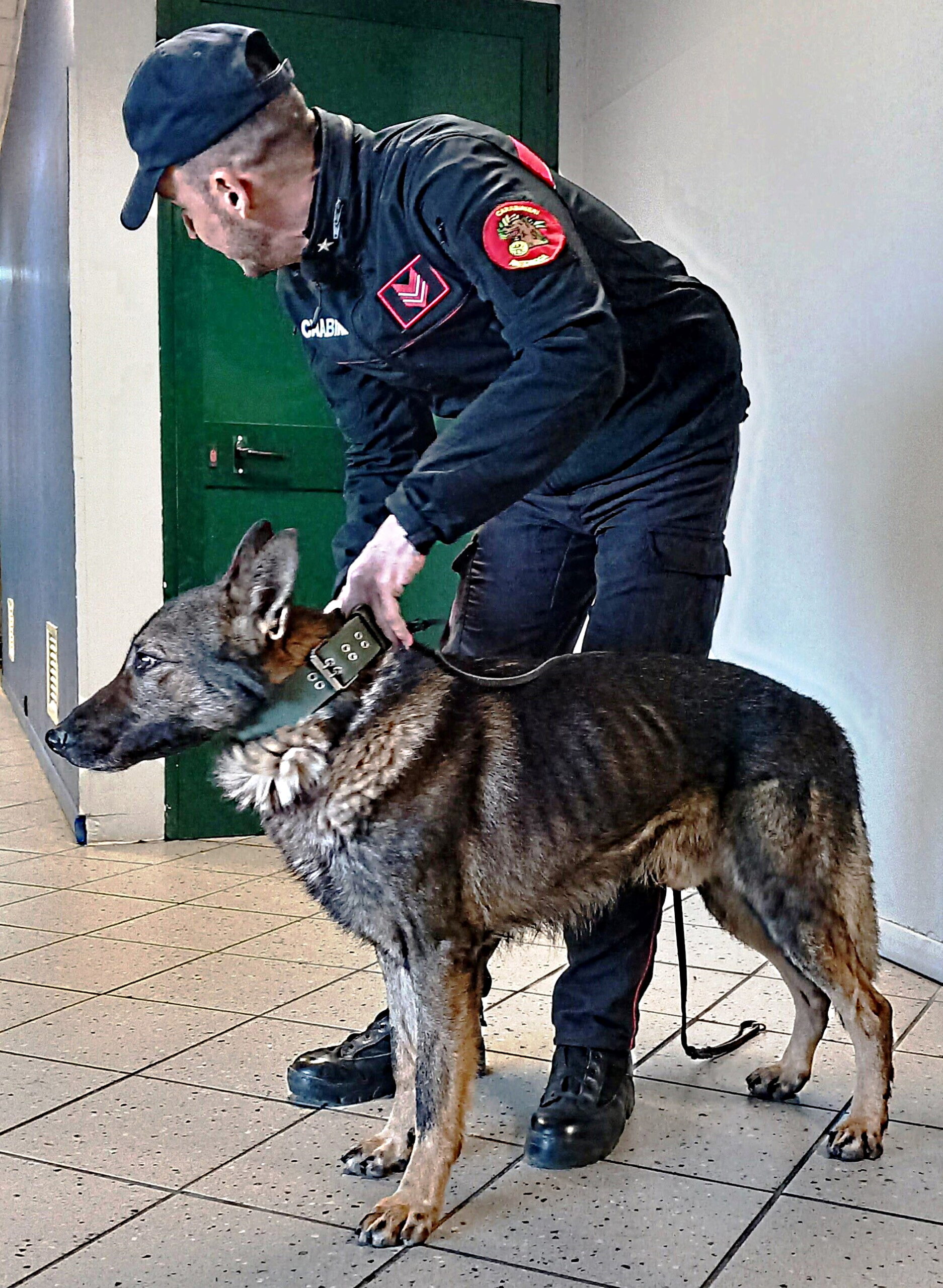 Novi, Carabinieri in aiuto di una mamma e della sua bimba malata