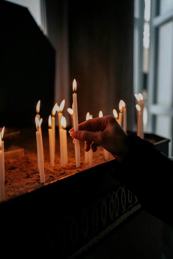 hatice-baran-L9y-wDHk_cE-unsplash