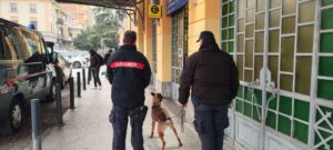 Tortona: controlli in stazione, giovane spacciatore in manette