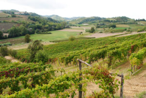 Slow Wine Fair, anche l’Alessandrino protagonista