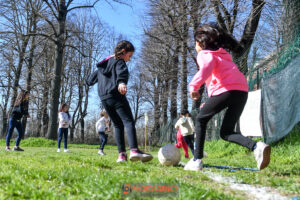Acf e IdeAle Grigio, insieme per crescere