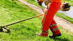 Alessandria, manutenzione del verde pubblico: ecco le zone interessate