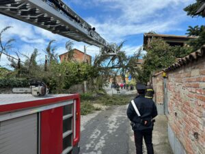 Capriata d’Orba: albero cade sulle auto in sosta