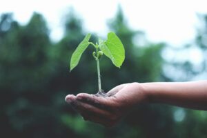 Cambiamento climatico e Green Deal: la sfida dell’Ue
