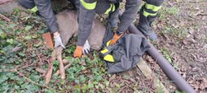 Cerrina: liberato un capriolo incastrato nella recinzione
