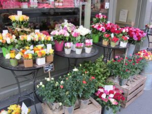 Fiori, camminate e teatro: le proposte di domenica