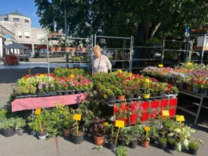 Alessandria, rione Cristo: ‘Un quartiere in fiore’ supera l’esame