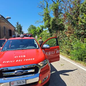 Vigili del Fuoco: dalla fuga di gas alle sterpaglie, gli interventi