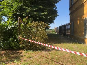 Sciaudone: “Via alla riqualificazione del Parco di Marengo”