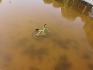 Alessandria. E la bici finì nella fontana…