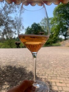 Grignolino Spumante Rosé Doc: nuova bollicina dal Monferrato