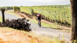 C’è la Randonnèe, Ovada diventa capitale del “ciclismo lento”