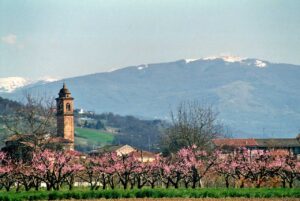 I turisti stranieri “cercano l’Italia”