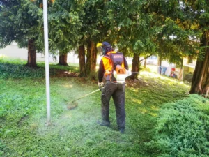 Alessandria, manutenzione del verde: sfalci e potature in città e sobborghi