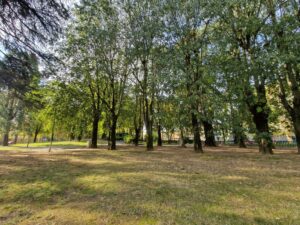 “Ecosistema Urbano 2025” boccia Alessandria