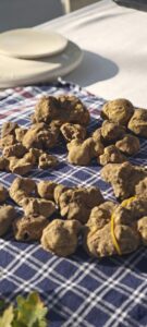 Un milione e mezzo per il tartufo: il piano della Regione
