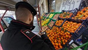 Alessandria, attività sospesa per lavoro nero e violazioni igieniche