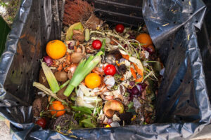 Spreco alimentare: Alessandria sensibilizza i più piccoli