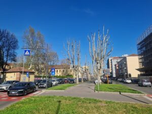 Alessandria, il teleriscaldamento chiude un tratto di corso Borsalino: disagi fino all’8 giugno