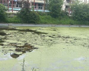 Laghetto fotovoltaico, la ‘Sud’ chiede di intervenire