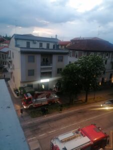 Casale: i Vigili del Fuoco liberano gattino bloccato sull’albero