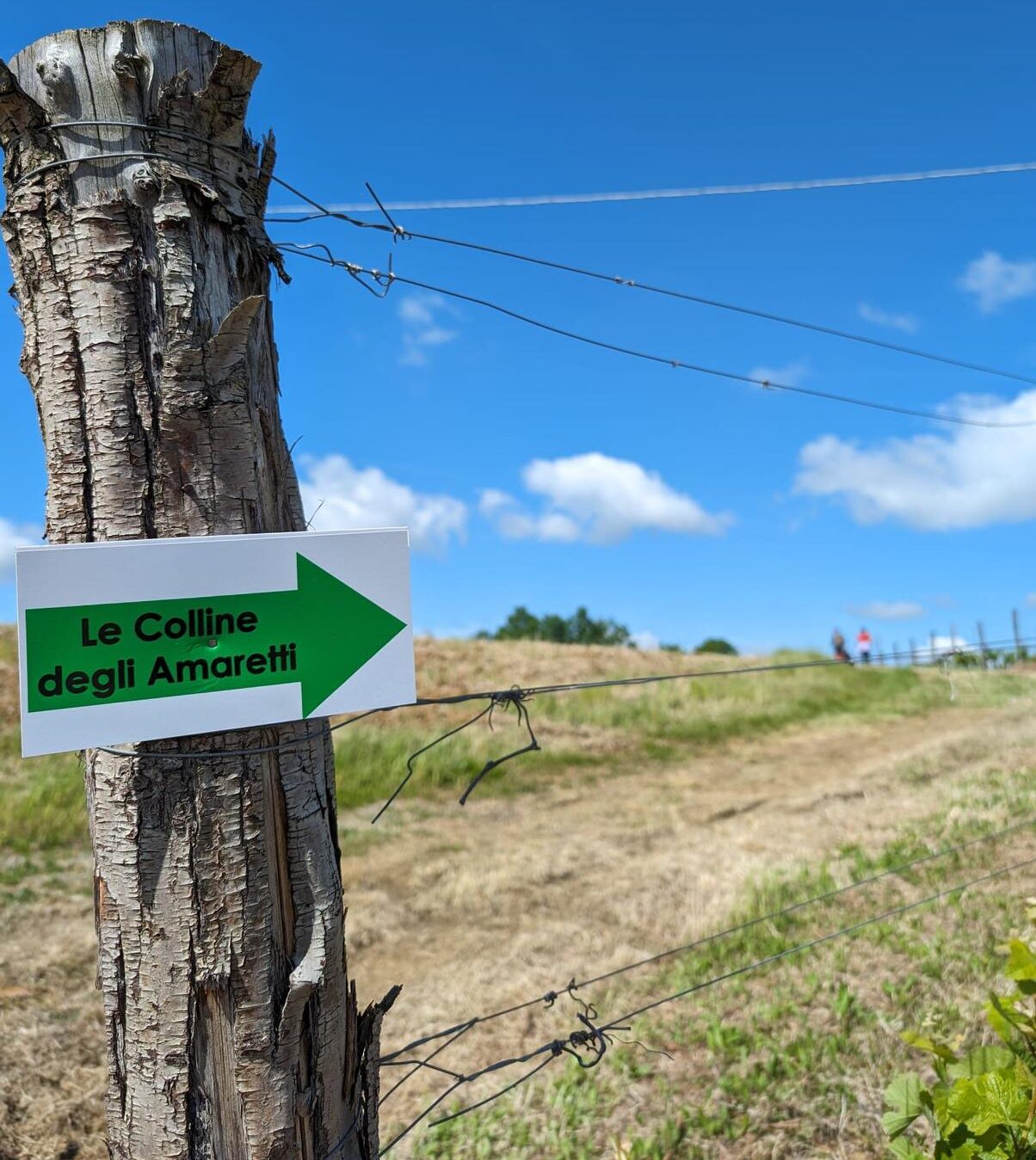 Solero inaugura i percorsi trekking