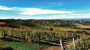 Vigneto e prompt: turismo conversazionale, ora tocca al Monferrato