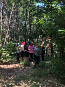Un giorno nel Bosco delle Sorti: nove chilometri di meraviglia per i piccoli esploratori di Borgoratto