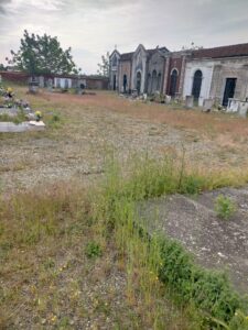 I sobborghi di Alessandria e l’erba nei cimiteri