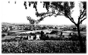 Valenza nel 1951