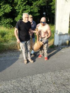 Occimiano, recuperato capriolo finito in un parco